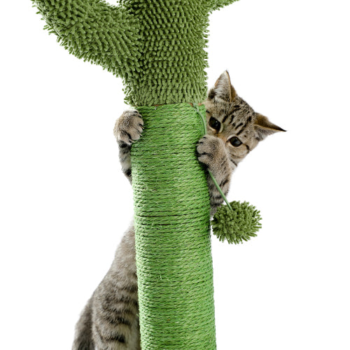 Cactus Cat Scratching Post with Natural Sisal Rope