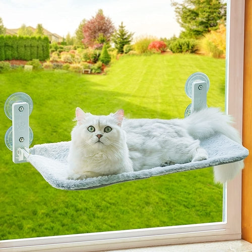 Cat bed that store sticks to window